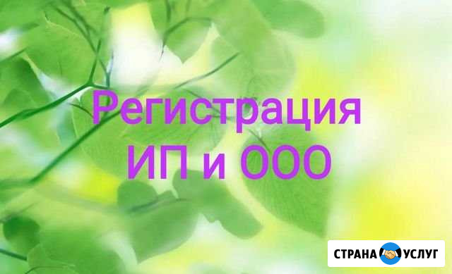 Регистрация ооо и ип Пермь - изображение 1
