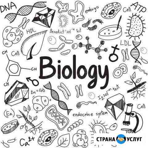 Репетитор по биологии на баз/проф/углуб уровне Кострома