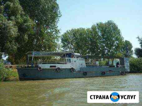 Прогулки на лотосные поля Камызяк