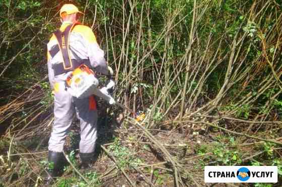 Расчистка заросших участков Самара