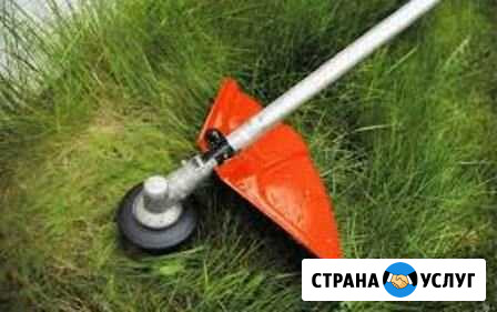 Покос травы триммером Чебаркуль - изображение 1