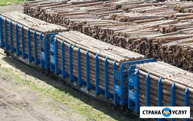 Услуги хранения отгрузки леса вагонами Киров - изображение 1