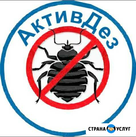 Дезинсекция Уничтожение всех насекомых Екатеринбург - изображение 1