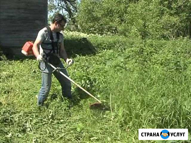 Покос травы, вспашка земли, спил деревьев и др Воскресенск - изображение 1