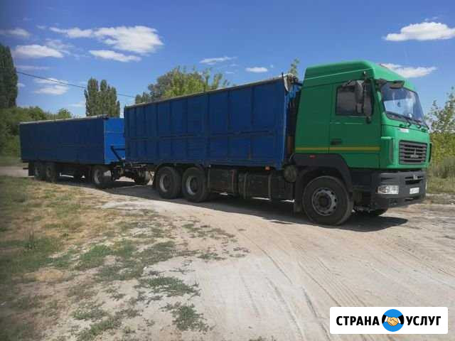 Грузоперевозки пшеница, ячмень, овощи и др Тамбов - изображение 1