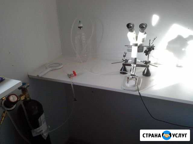 Инструментальное Осеменение пчелиных маток Рыбное - изображение 1