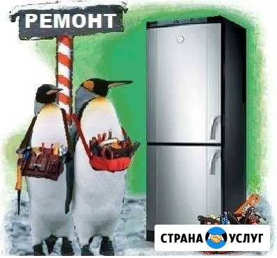 Ремонт холодильников Гороховец - изображение 1