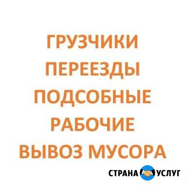 Грузчики Светлогорск - изображение 1