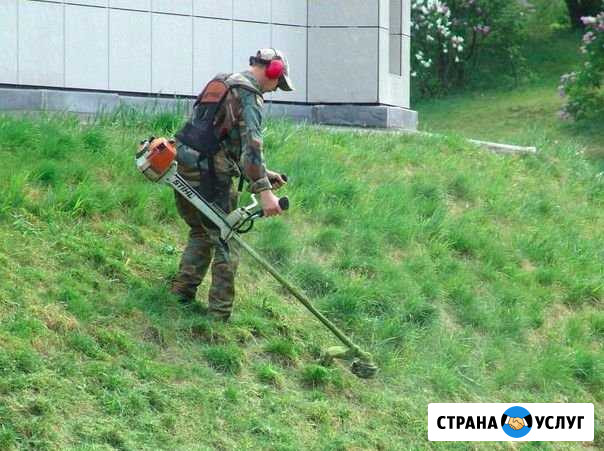 Покос травы Лакинск - изображение 1