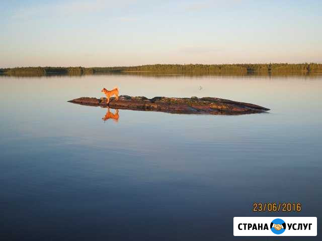 Заброска туристов Лоухи - изображение 1