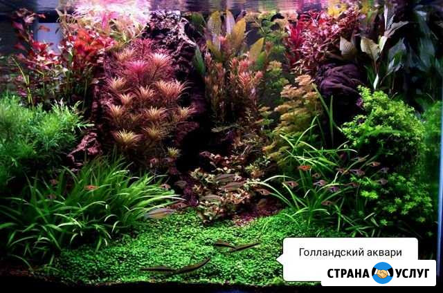 Установка. Запуск. Обслуживание Аквариума Ставрополь - изображение 1