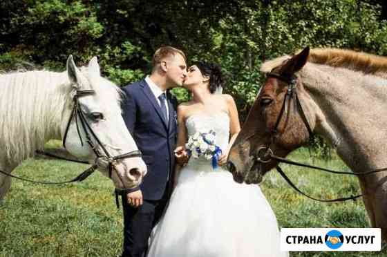 Свадебный фотограф и видеограф, фото и видеосъемка Ярославль