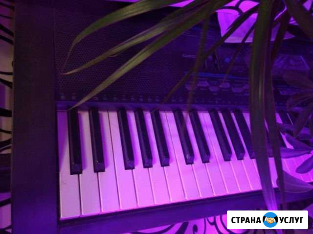 Репетитор по музыке Томск - изображение 1