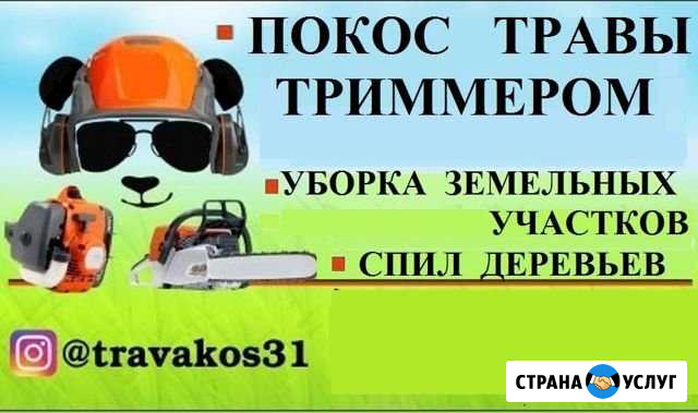 Покос Травы. Спил Деревьев. Уборка участков Белгород - изображение 1