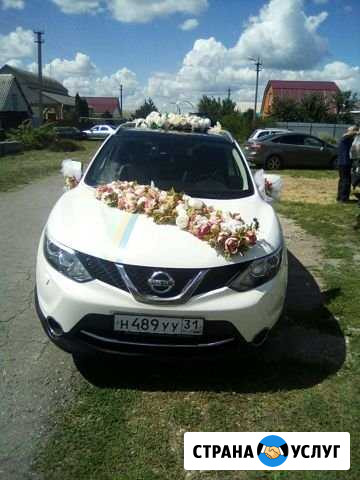 Авто для свадьбы Алексеевка Белгородской области - изображение 1