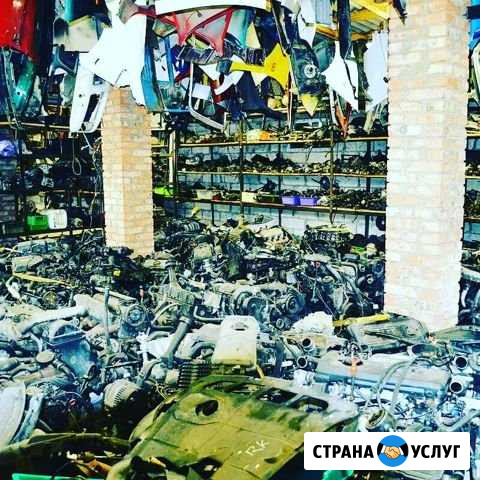 Выкуп авто Волхов - изображение 1