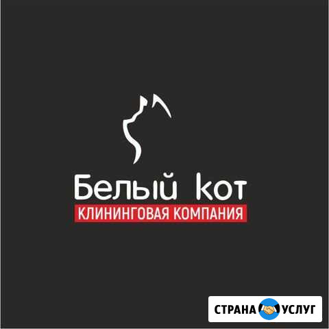 Профессиональная уборка Егорьевск - изображение 1