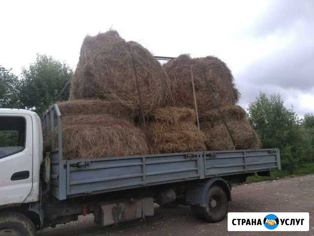 Грузоперевозки Вышний Волочек - изображение 1