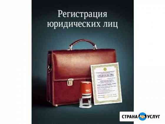 Открытие ип, ооо. Без гос пошлины Ростов-на-Дону