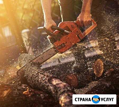 Уборка участков Покос травы. Спил деревьев Сосновка - изображение 1