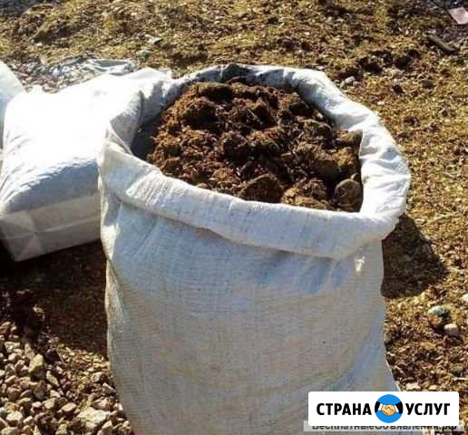 Навоз, опил в мешках, Дрова колотые березовые Лесной - изображение 1