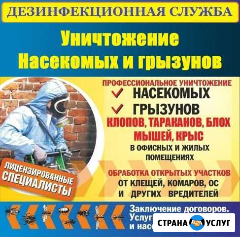Уничтожение вредных насекомых Балашов - изображение 1