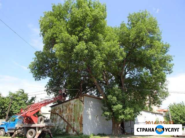 Спил деревьев уборка участка слом домов покос Ростов-на-Дону - изображение 1