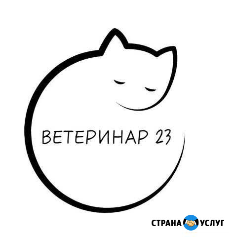 Стерилизация и кастрация кошек и котов на дому Гиагинская - изображение 1