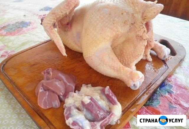 Мясо Бердск - изображение 1