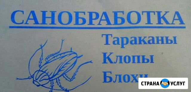 Санобработка Самара - изображение 1