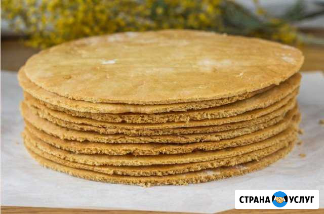 Выпечка.Коржи - Наполеон,Медовик,блины Краснодар - изображение 1