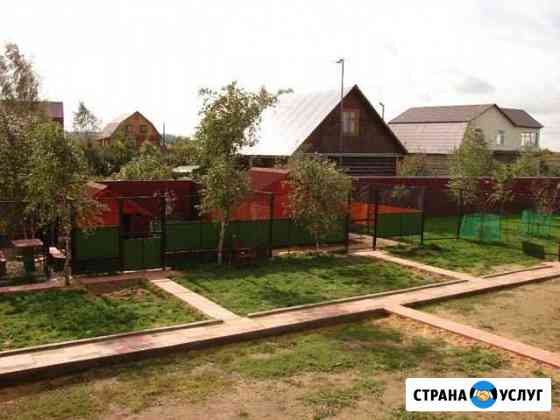 Индивидуальная передержка собак Москва