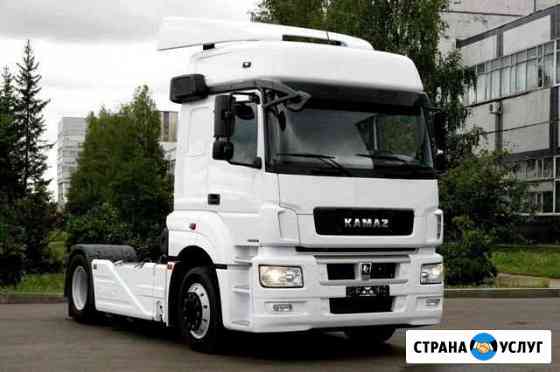 Отключение adblue(мочевины) камаз 5490 Волгоград