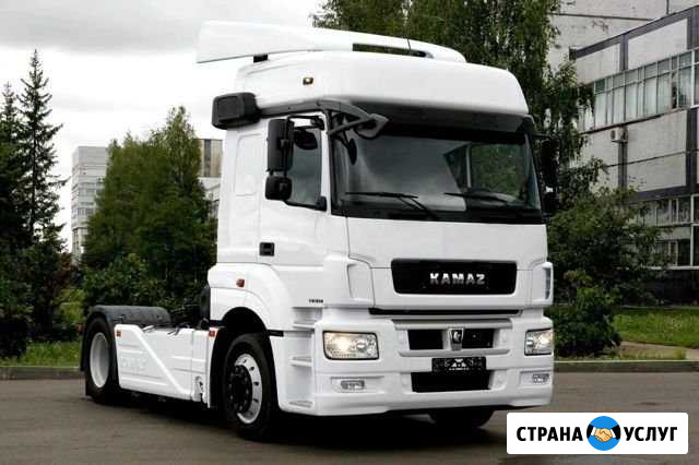 Отключение adblue(мочевины) камаз 5490 Волгоград - изображение 1