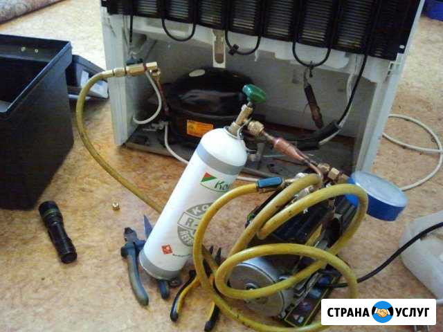 Ремонт домашних холодильников Сиверский - изображение 1