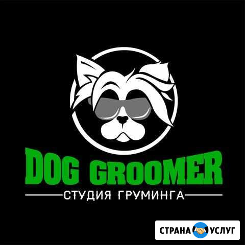 Стрижка собак и кошек/ Dog Groomer Тюмень - изображение 1