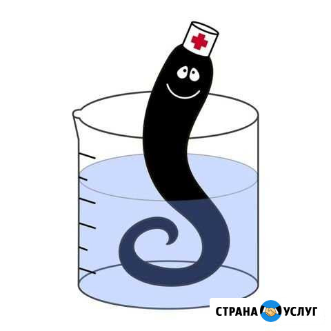 Оздоровление организма Рубцовск - изображение 1