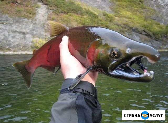 Сплав с рыбалкой на Камчатке Петропавловск-Камчатский - изображение 1