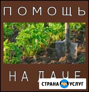 Помощь на даче Омск - изображение 1