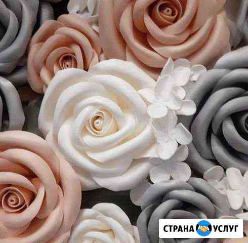 Фотозона Калининград
