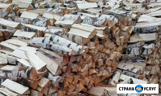 Дрова колотые берёза,ольха,осина Всеволожск - изображение 1
