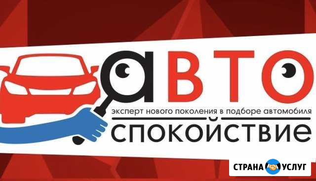 Полная экспертная проверка авто и автоподбор Иваново - изображение 1
