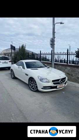Аренда авто Севастополь - изображение 1