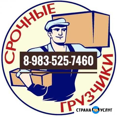 Грузчики, разнорабочие Омск - изображение 1