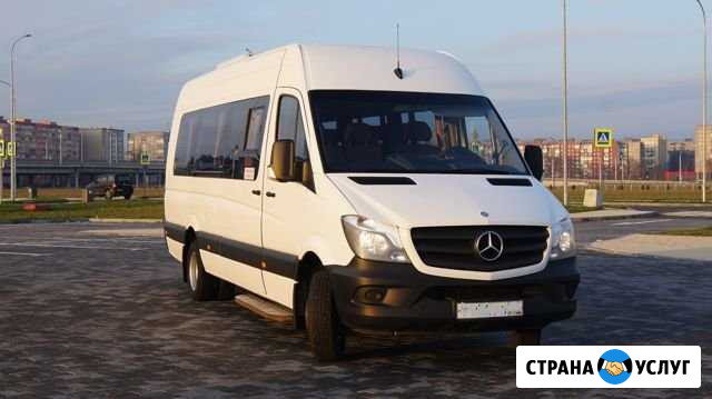 Аренда автобуса Калининград - изображение 1