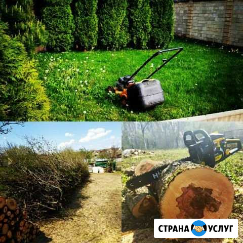 Покос травы, сорняка, спил деревьев, уборка участк Ставрополь - изображение 1