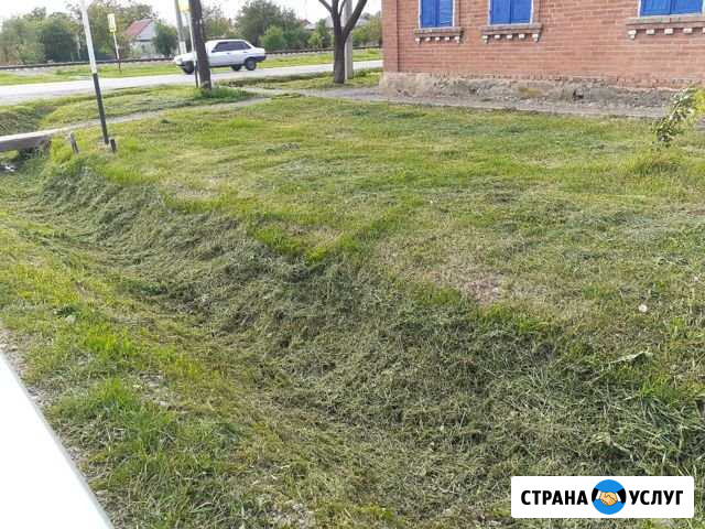 Покос травы Майкоп - изображение 1