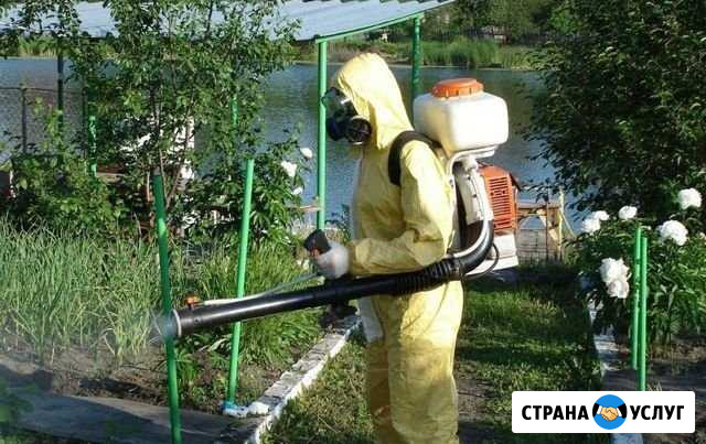 Обработка участка от комаров Самара - изображение 1