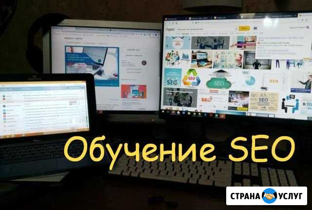 Обучение созданию сайтов и SEO продвижению Ростов-на-Дону - изображение 1
