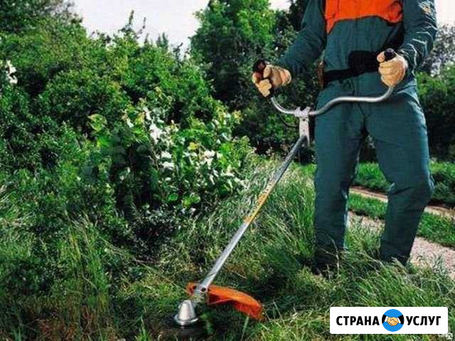 Благоустройство земельных участков Алексин - изображение 1